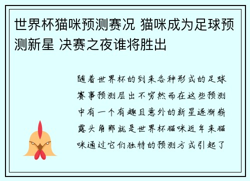 世界杯猫咪预测赛况 猫咪成为足球预测新星 决赛之夜谁将胜出