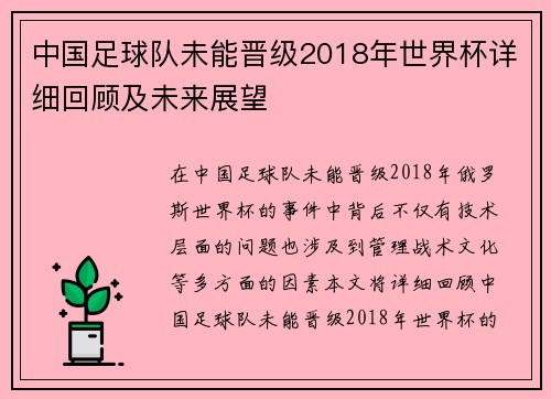 中国足球队未能晋级2018年世界杯详细回顾及未来展望