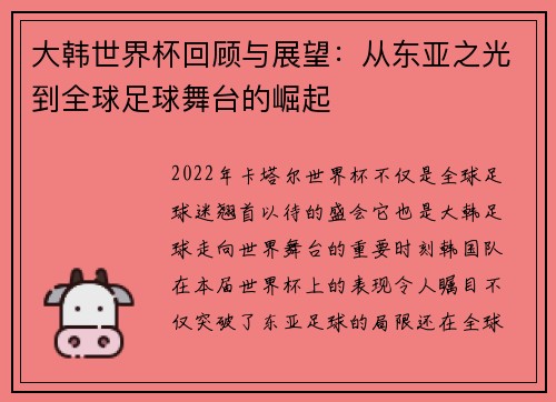 大韩世界杯回顾与展望：从东亚之光到全球足球舞台的崛起